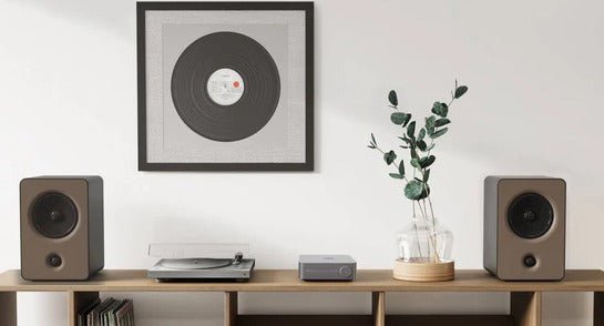 Wiim Amp