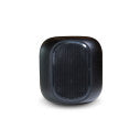 BLUESOUND PULSE SUB