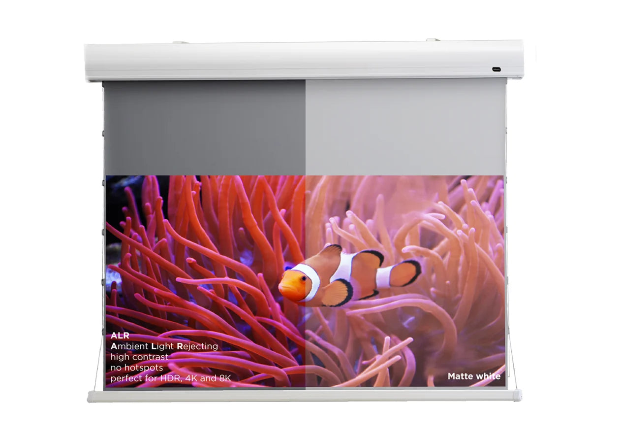 Celexon HomeCinema Pantalla Motorizada Tensionada Dynamic Slate ALR