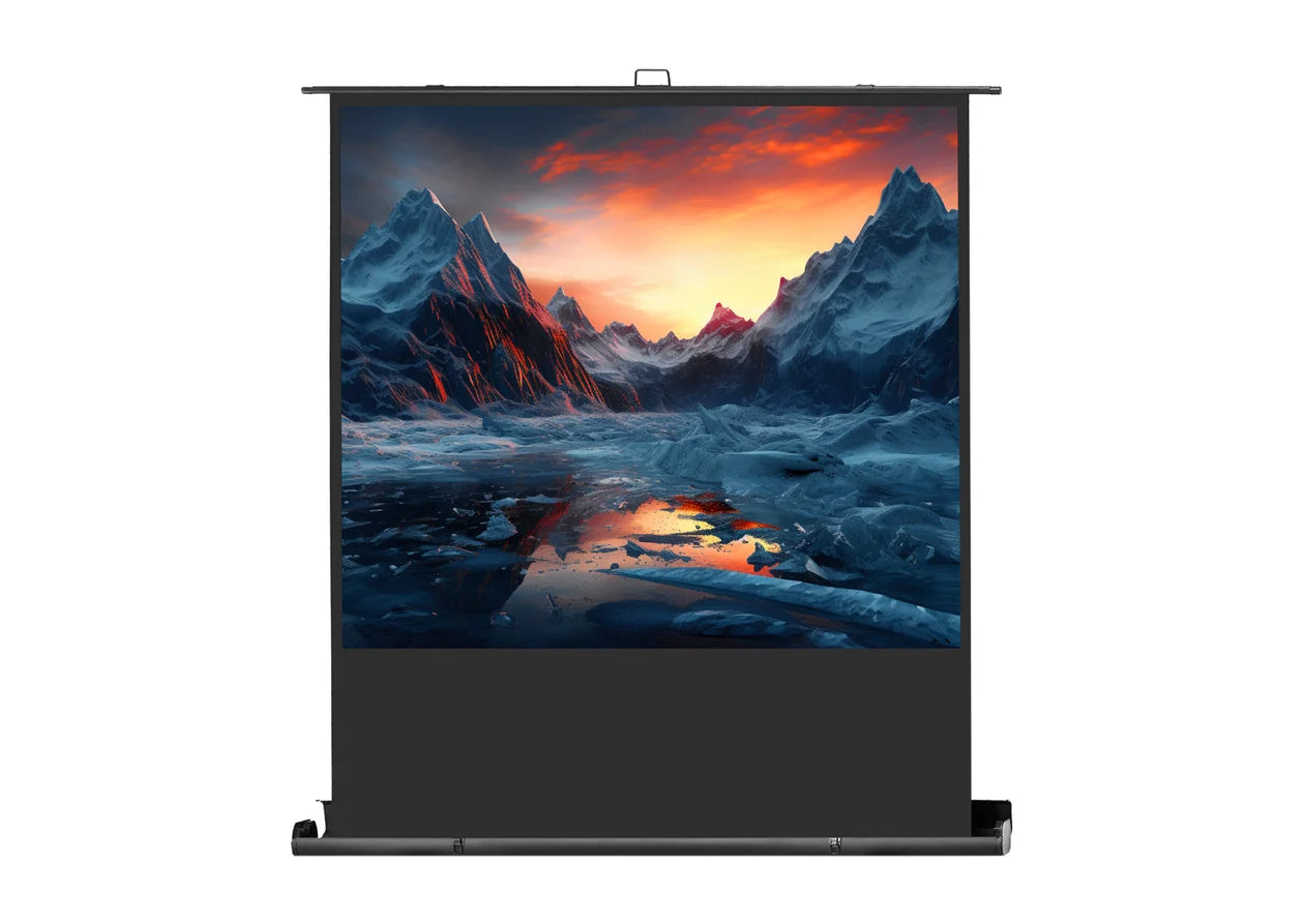 Celexon Pantalla Portátil Ultramobil Professional Plus 16:9