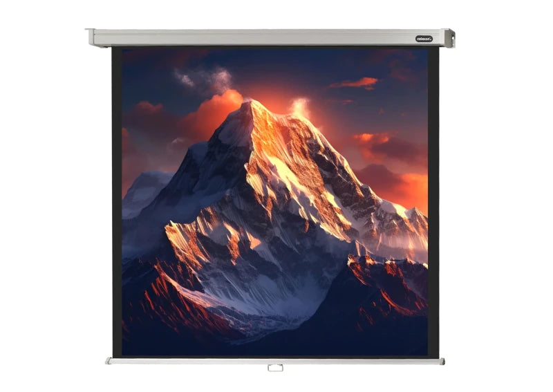 Celexon Pantalla Manual Mural Profesional 1:1