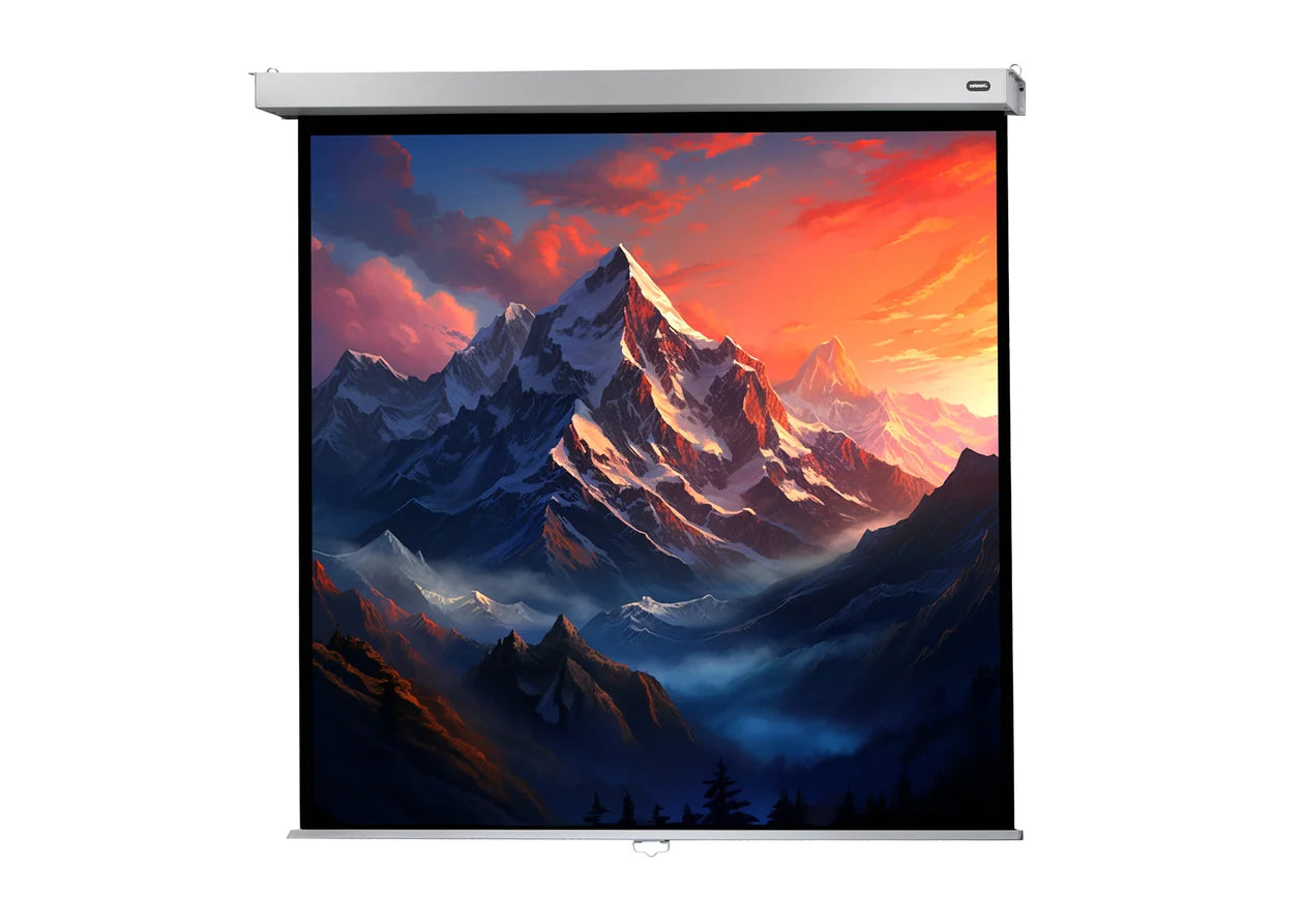 Celexon Pantalla Manual Mural Profesional Plus 1:1