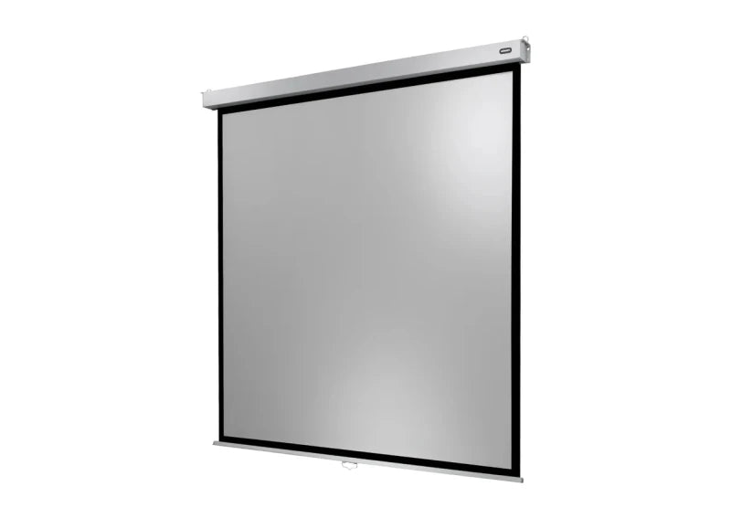 Celexon Pantalla Manual Mural Profesional Plus 16:10
