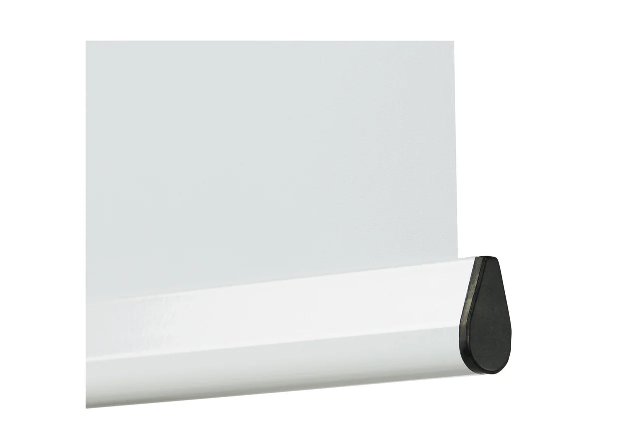 Celexon Pantalla Motorizada Expert 1:1